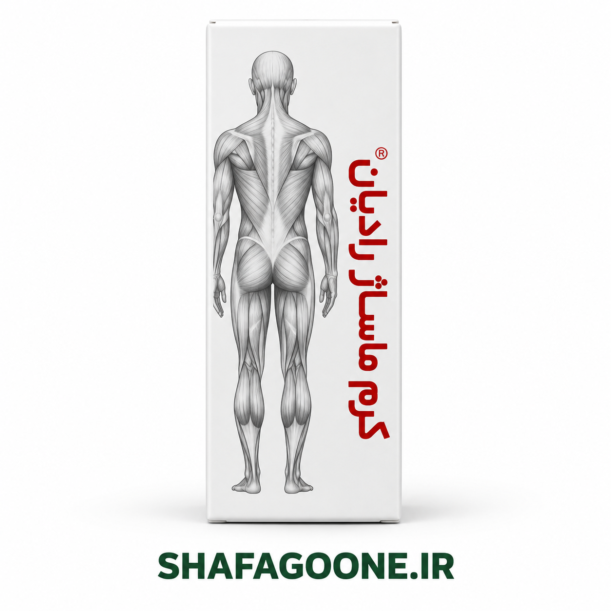 کرم ماساژ عضلانی رادیان | کمک به آرامش و تسکین درد عضلات